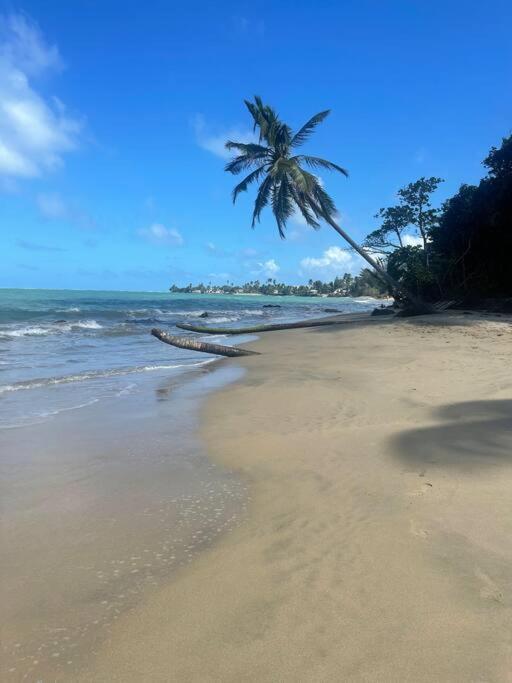 3Bedrm Beach Penthouse With Rooftop Terrace & Wifi Rio Grande Exterior foto