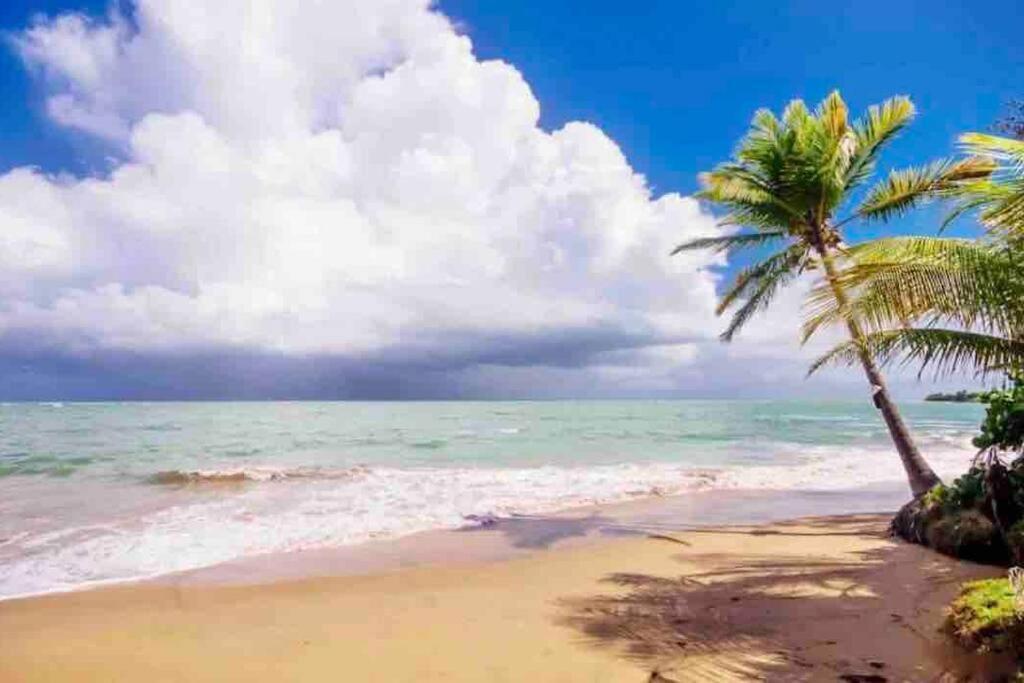 3Bedrm Beach Penthouse With Rooftop Terrace & Wifi Rio Grande Exterior foto